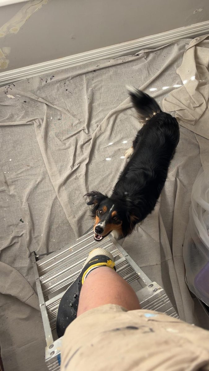 Lou with a client\'s dog